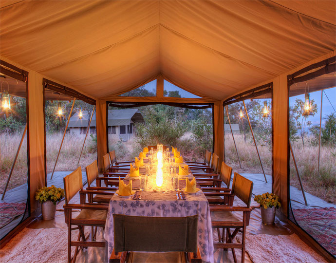 Kenya Safaris Roberts