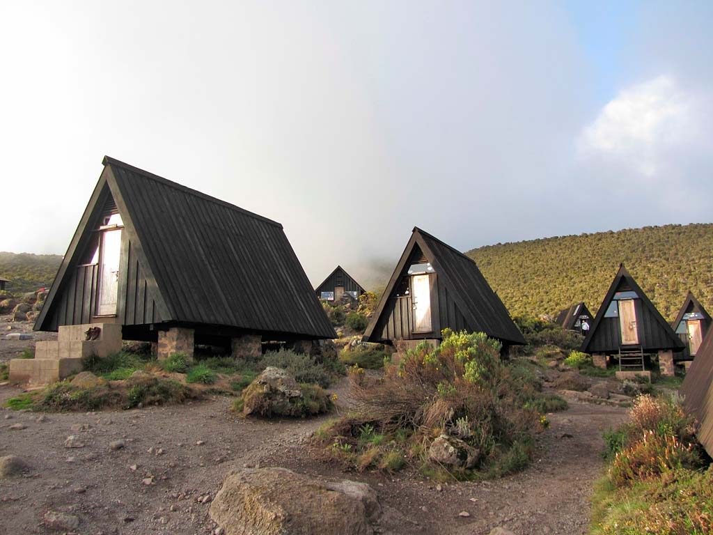 Mt.Kilimanjaro-Z0005