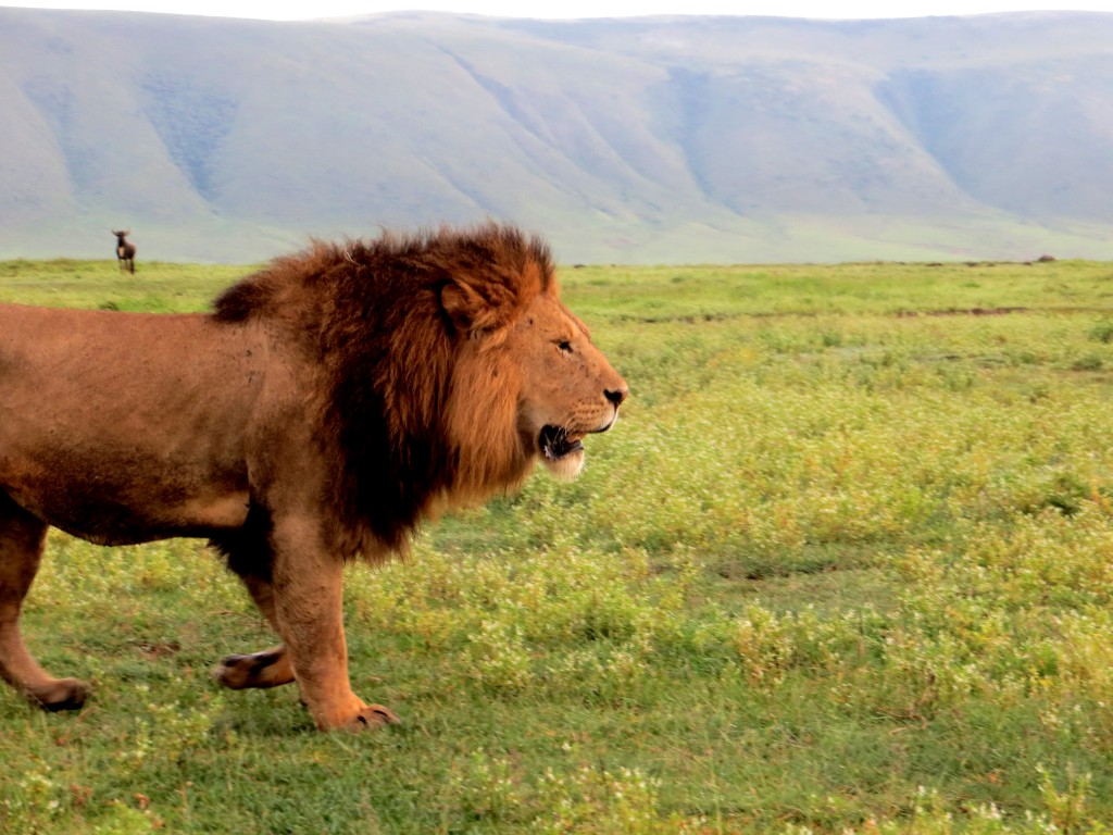 ngorongoro-crater