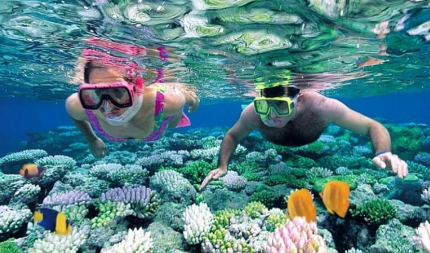 Diving and Snrkeling in Zanzibar