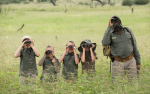 Wildlife Safari