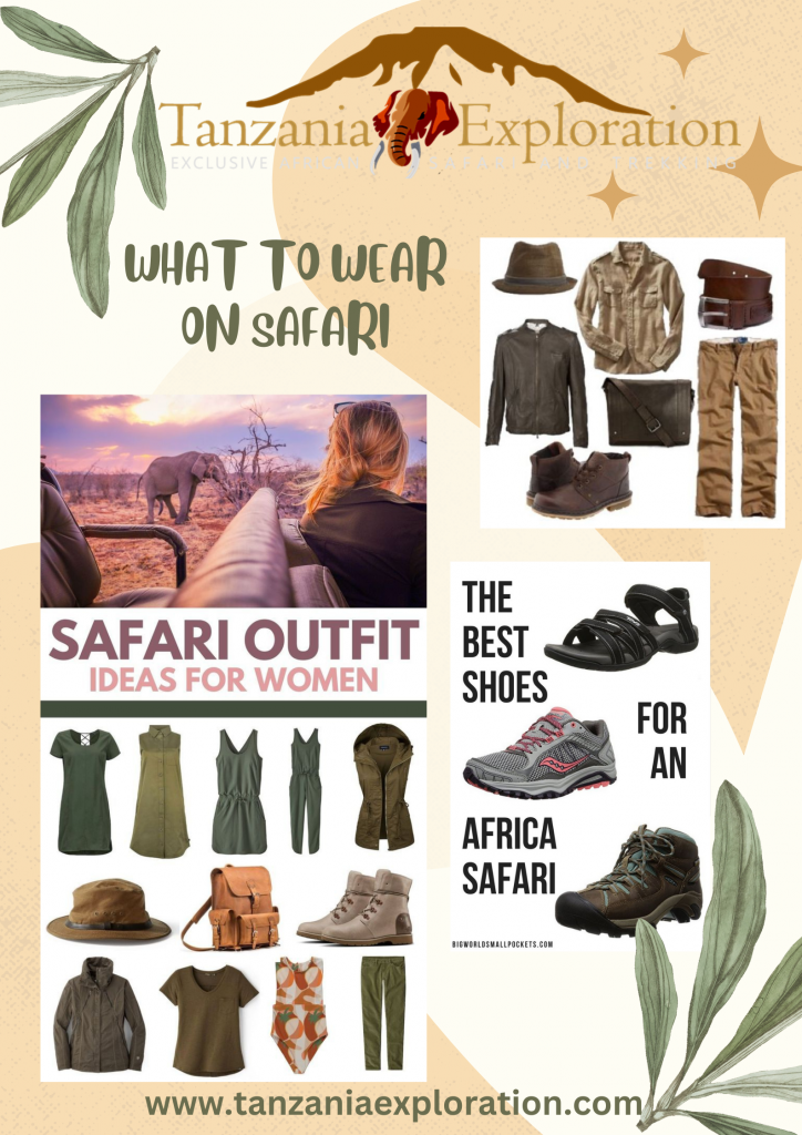 Wildlife Safari